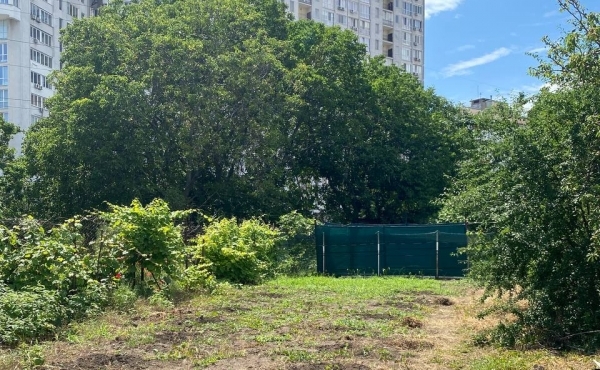 photo_1_2025-11-04_11-36-32