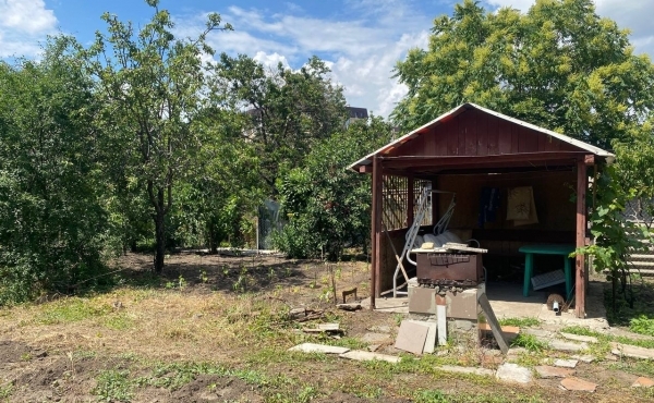 photo_2_2025-11-04_11-36-32