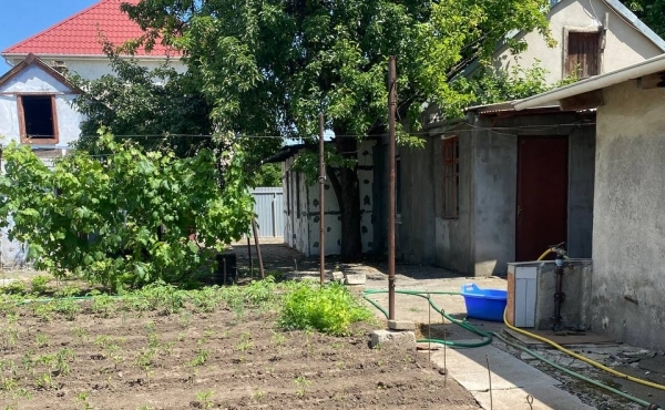 photo_3_2025-11-04_11-36-32