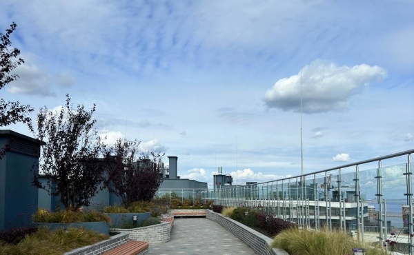 photo_8_2025-12-08_17-00-50